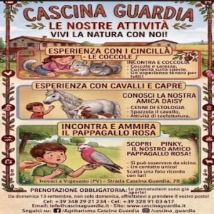 Locandina attività pets domenica